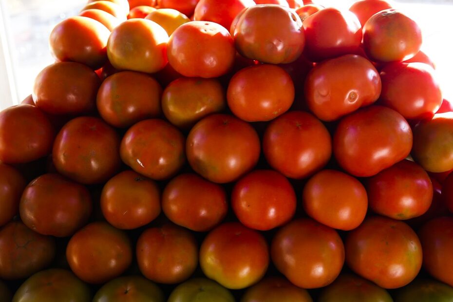 banco de imagens vac abr 2907221193