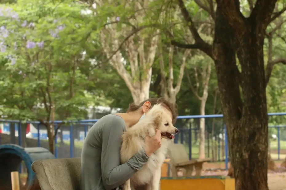 tutores com caes no parcao espaco exclusivo para cachorros na praca ayrton senna do brasil rvsa abr