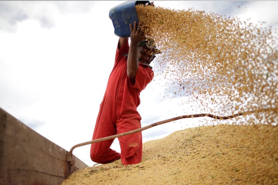 Agro forte lucro apertado BB ve pressao sobre margens de