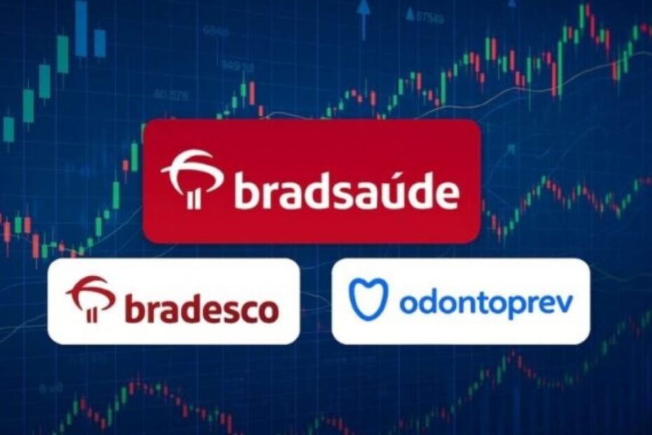 B3 abre excecao para BradSaude SAUB3 no Novo Mercado saiba