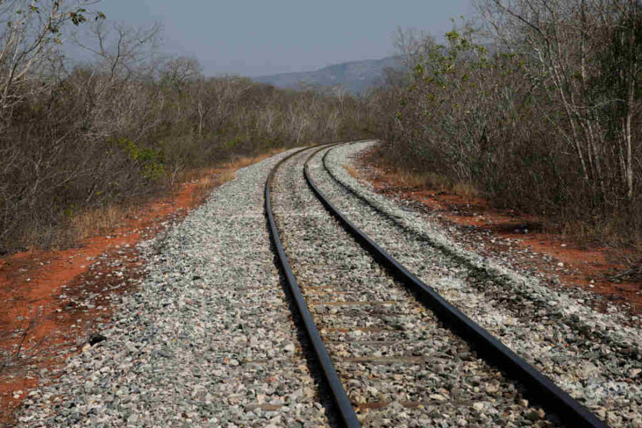 Supremo valida lei que reduz area de parque nacional e