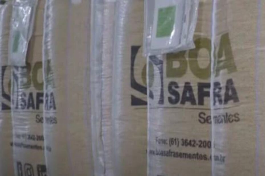 boa safra soja3