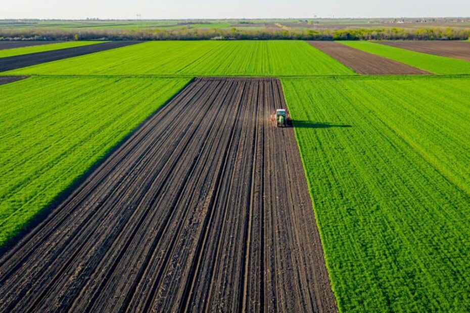 brasilagro agro3 6 1