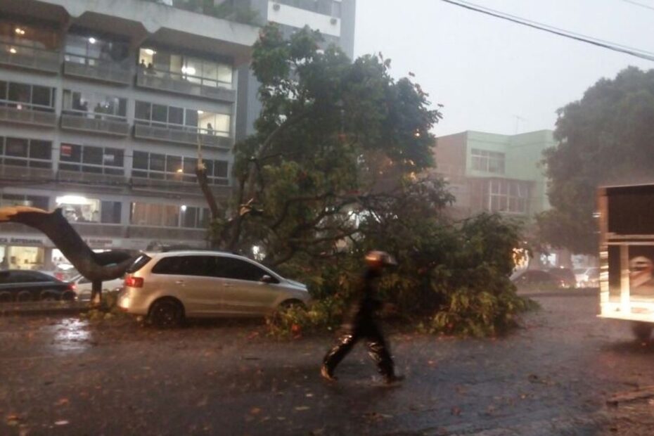 chuva surpreende belo horizonte
