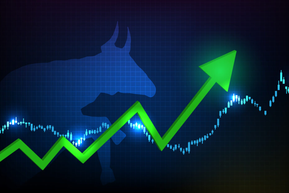 ibovespa alta 2026 juros acoes