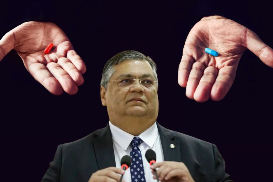 ministro flavio dino
