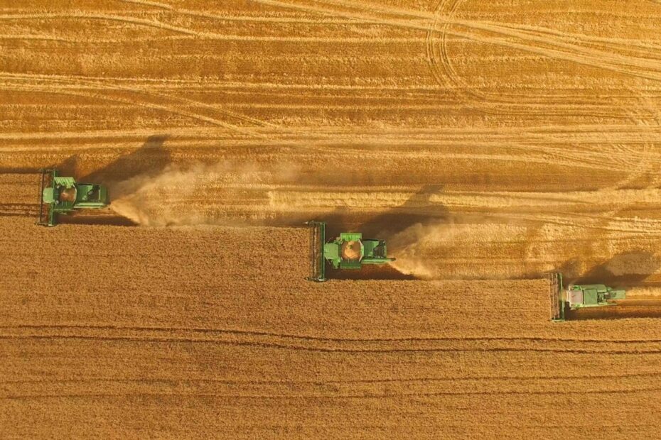 plano safra agronegocio