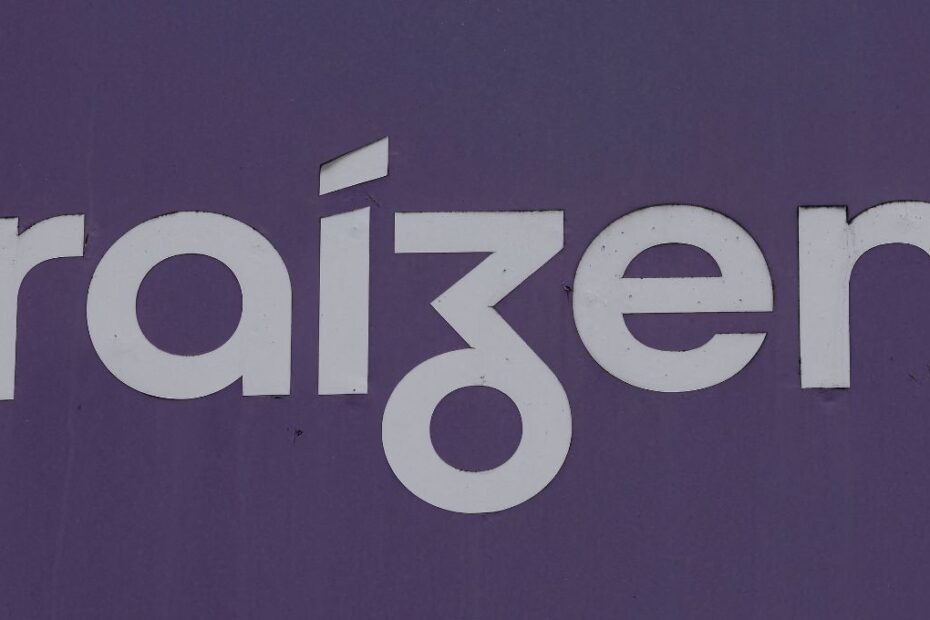 raizen raiz4