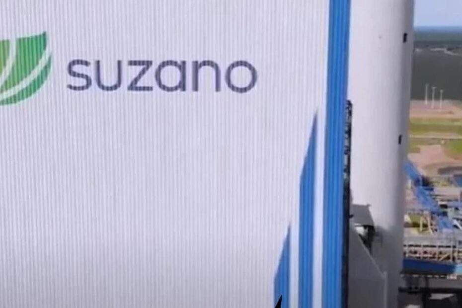 suzano suzb3