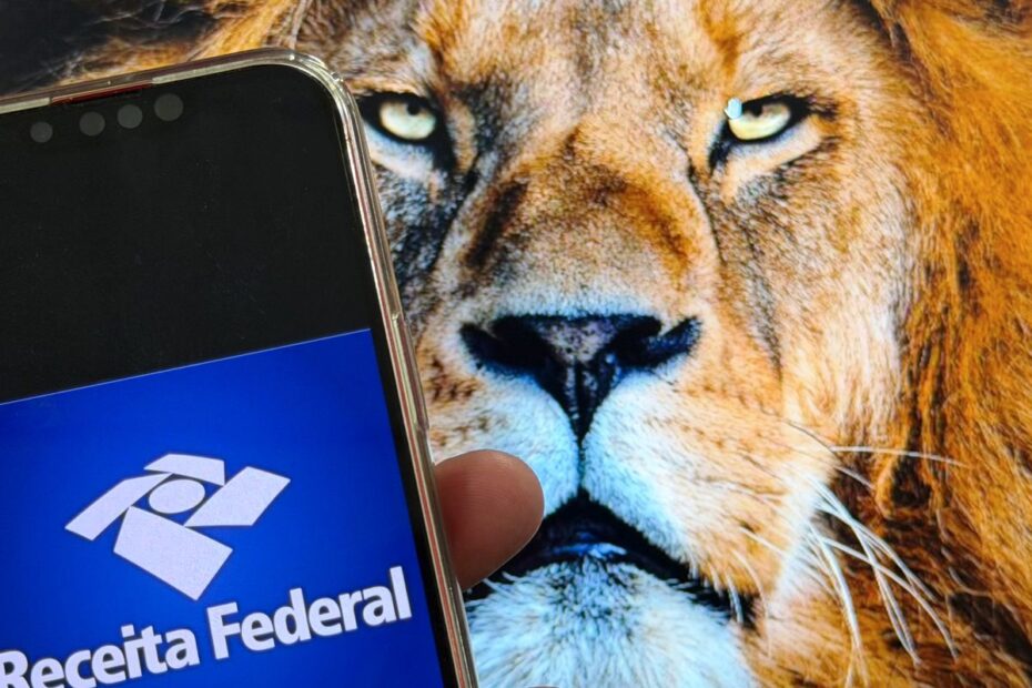 whatsapp image 2026 03 16 at 16.06.34